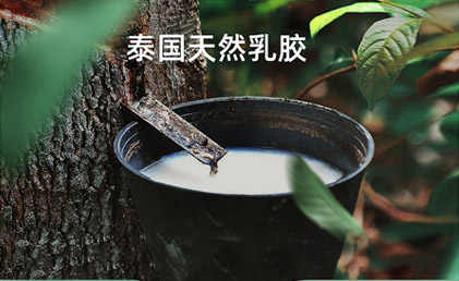 乳胶枕与健康睡眠之间的联系